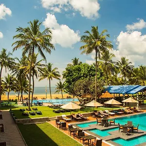 Camelot **** Negombo