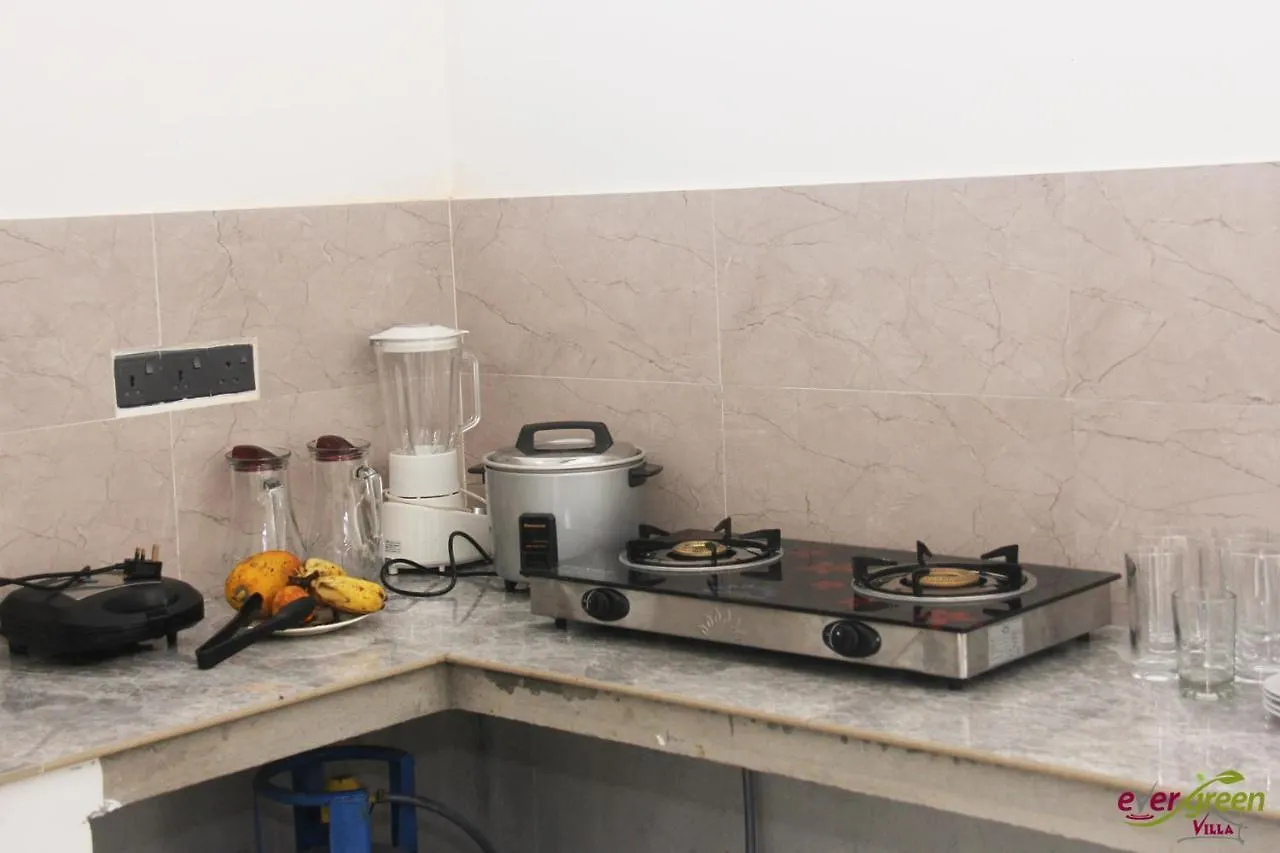 Ever Green Villa Negombo Pensionat