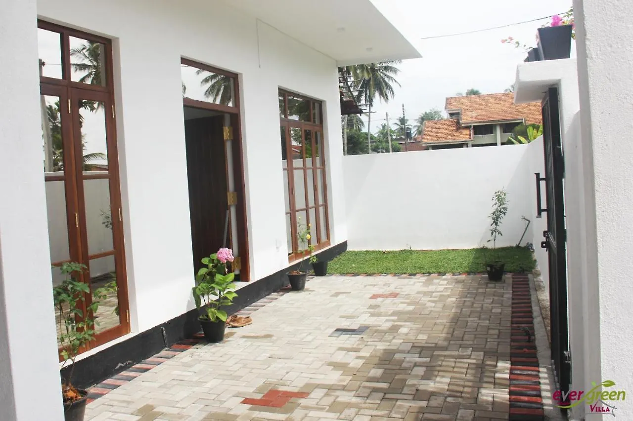 Pensionat Ever Green Villa Negombo